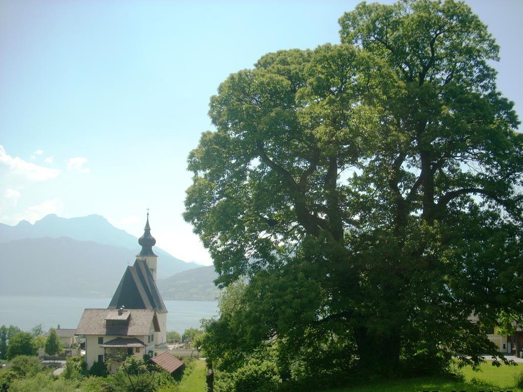 Attersee-Chalet Angermann Familie Spalt Штайнбах-ам-Аттерзе Екстер'єр фото