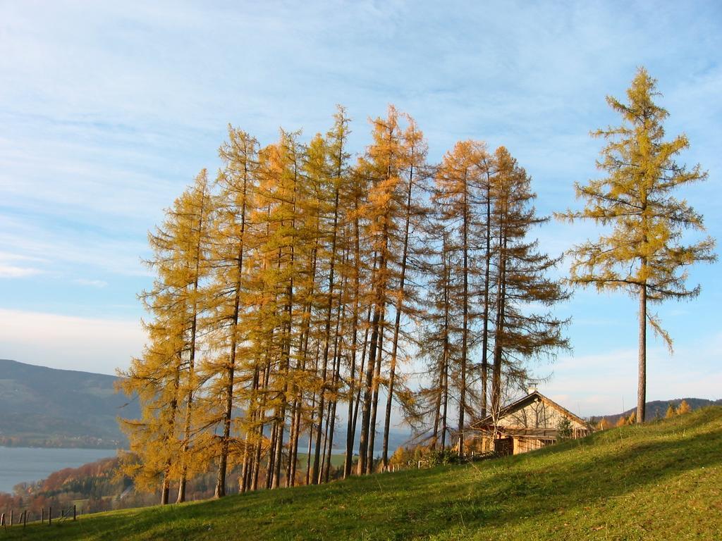 Attersee-Chalet Angermann Familie Spalt Штайнбах-ам-Аттерзе Екстер'єр фото