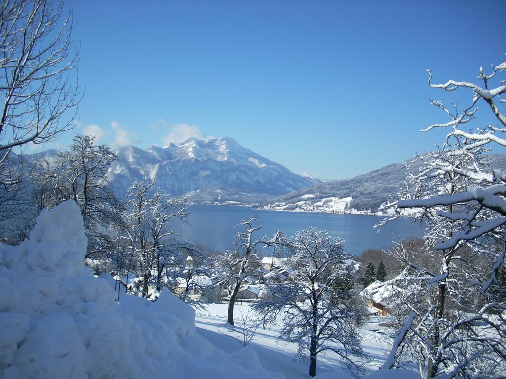 Attersee-Chalet Angermann Familie Spalt Штайнбах-ам-Аттерзе Екстер'єр фото